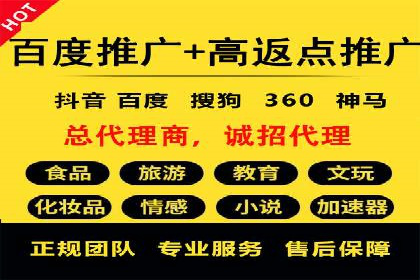 知名SEM运营公司实战案例解析